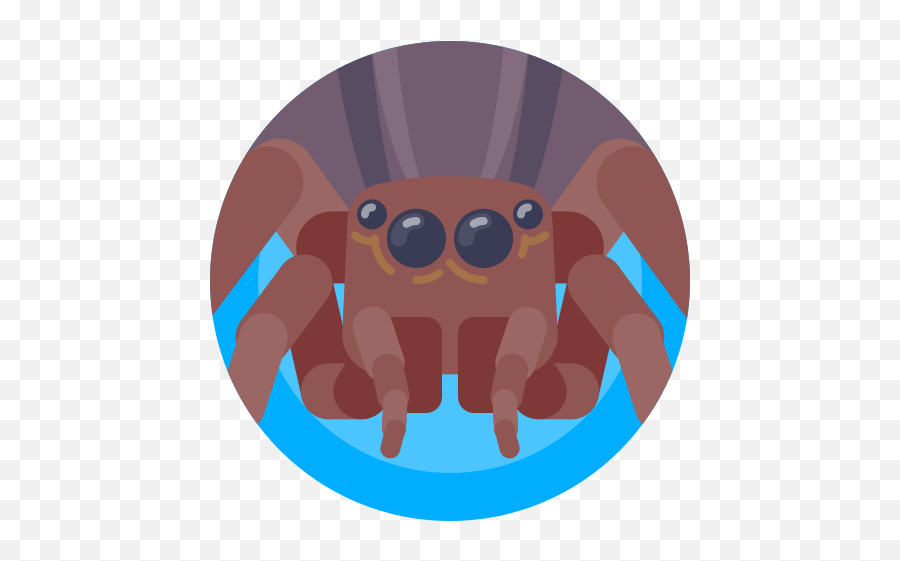 Avatar Bug Insect Spider Free Icon - Bug Avatar Emoji,Spider Emoticons