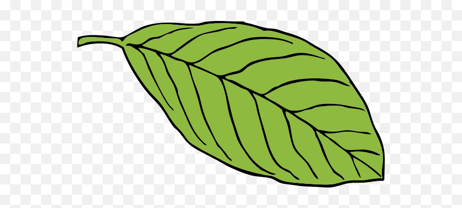 Oval Leaf - Mango Leaf Clip Art Emoji,Pot Leaf Emoji