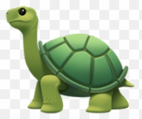 Emoji Clipart Turtle Emoji Turtle Transparent Free For - Iphone Turtle Emoji,Turtle Emoji