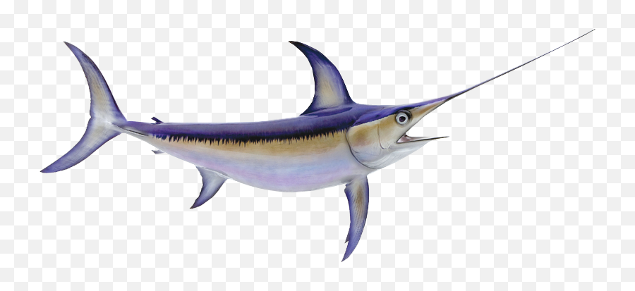 Yu - Swordfish Emoji,Swordfish Emoji