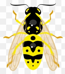 Safule Lociwi - Prato Decorativo Parede Porcelana Mosquito Com Suporte Emoji,Dragonfly Emoji