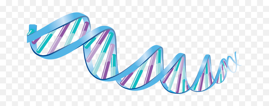 Dna Transparent Png Biological Dna Dna Genetic Clipart - Transparent Dna Png Emoji,Dna Emoji