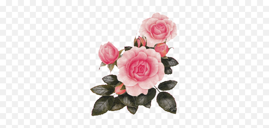 Lotus Flower Stickers For Android Ios - Transparent Pink Roses Gif Emoji,Lotus Flower Emoji