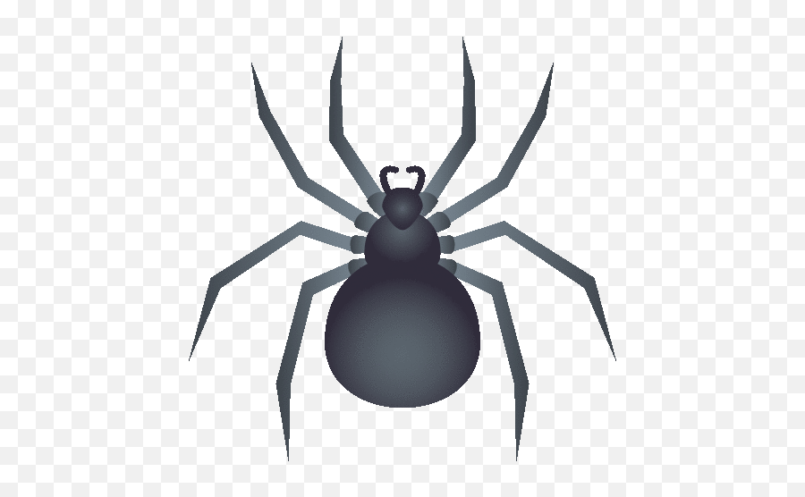 Spider Nature Gif - Southern Black Widow Emoji,Spider Emoji