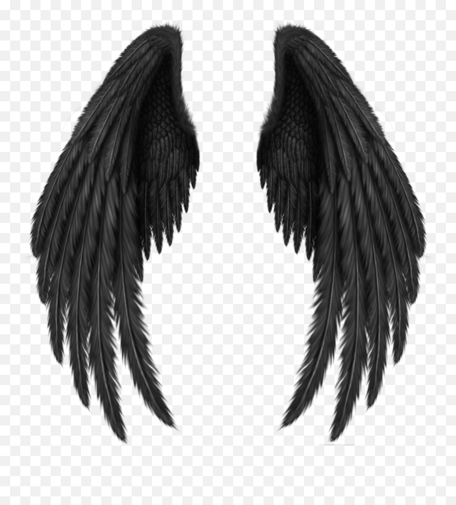 Angel Wings Png Wings Png Wings Drawing - Devil Wings Emoji,Angel Wing Emoji