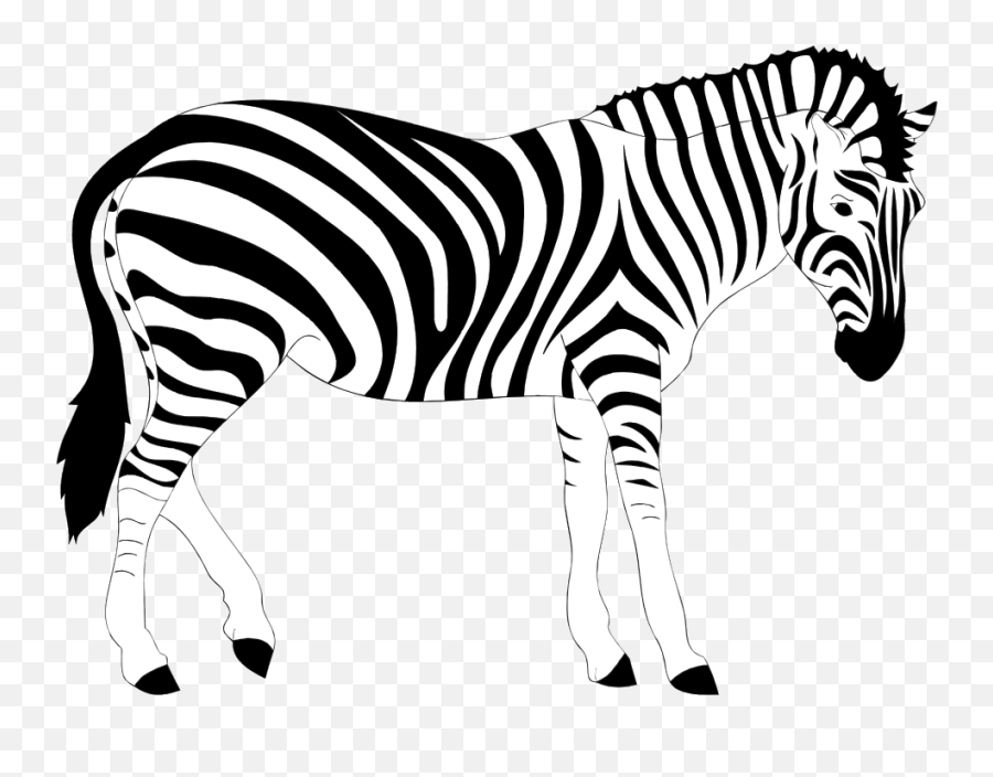 Head Clipart Zebra Head Zebra - Zebra Clipart Emoji,Zebra Emoticon