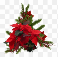 Christmas Wreath Poinsettia Red Green Flowers Festive - Christmas Tree Emoji,Christmas Wreath Emoji