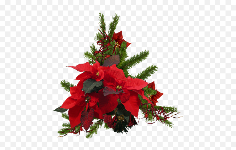 Christmas Wreath Poinsettia Red Green Flowers Festive - Christmas Tree Emoji,Christmas Wreath Emoji