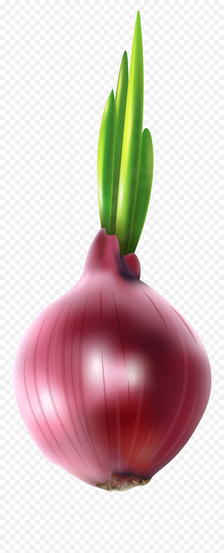Transparent Background Onion Emoji - Clip Art Picture Of Onion,Onion Emoji
