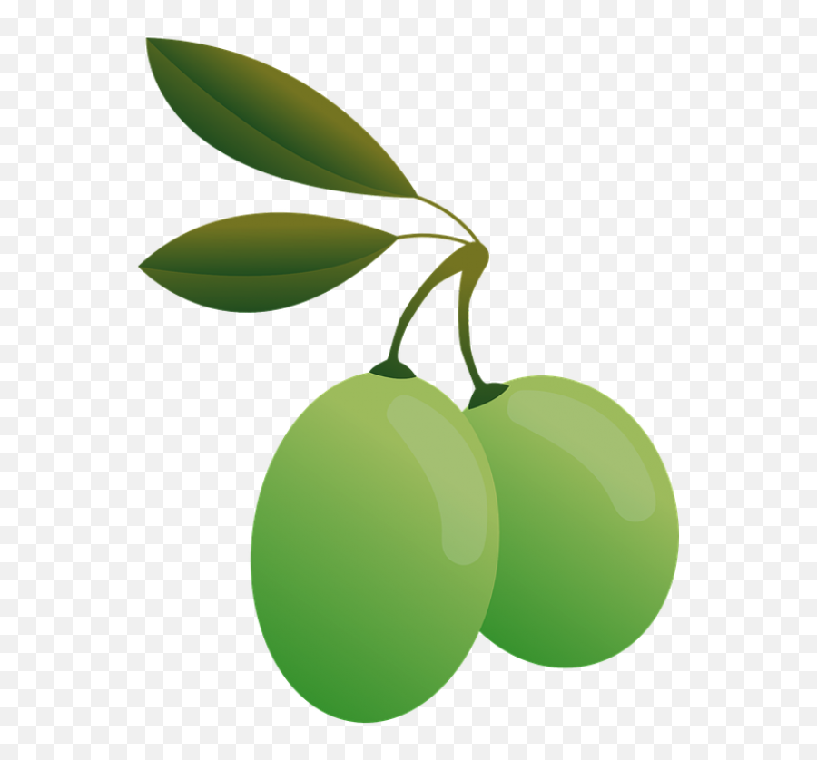 Olive - Transparent Background Olive Icon Emoji,Olive Emoji