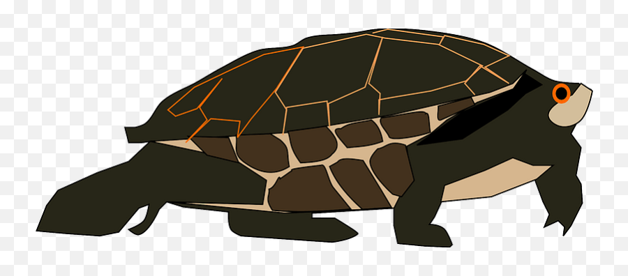 Turtle Clipart - Chelonoidis Emoji,Tortoise Emoji