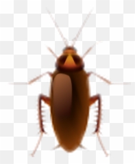 Cockroach - Cockroach Emoji,Cockroach Emoji