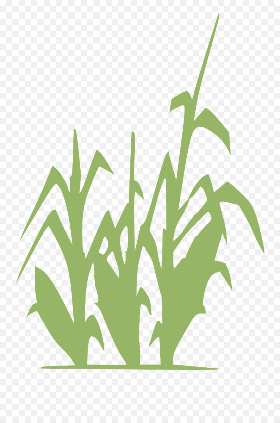 Corn Green Farming Crop Vegetable - Limitless Horizons Ixil Emoji,Corn Dog Emoji