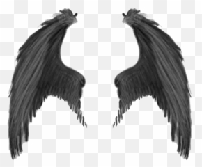 Wings Png And Vectors For Free Download - Demon Wings Png Emoji,Chicken Wings Emoji
