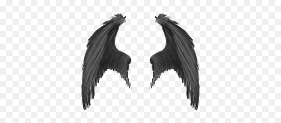 Wings Png And Vectors For Free Download - Demon Wings Png Emoji,Chicken Wings Emoji