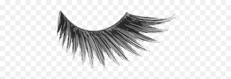 Eyelash Extensions Cosmetics Mascara - Png Feathers Eyelashes Emoji,Eyelashes Emoji