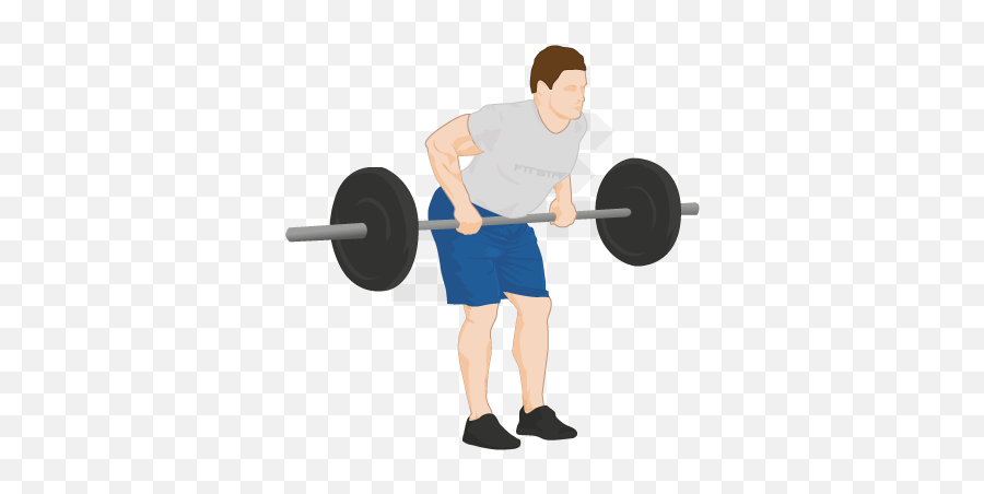 Barbell Weightlifting Transparent Png Clipart Free - Bent Over Row Png Emoji,Weightlifting Emoji