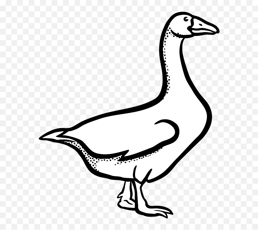Free Goose Bird Illustrations - Goose Clipart Black And White Emoji,Salt Emoticon