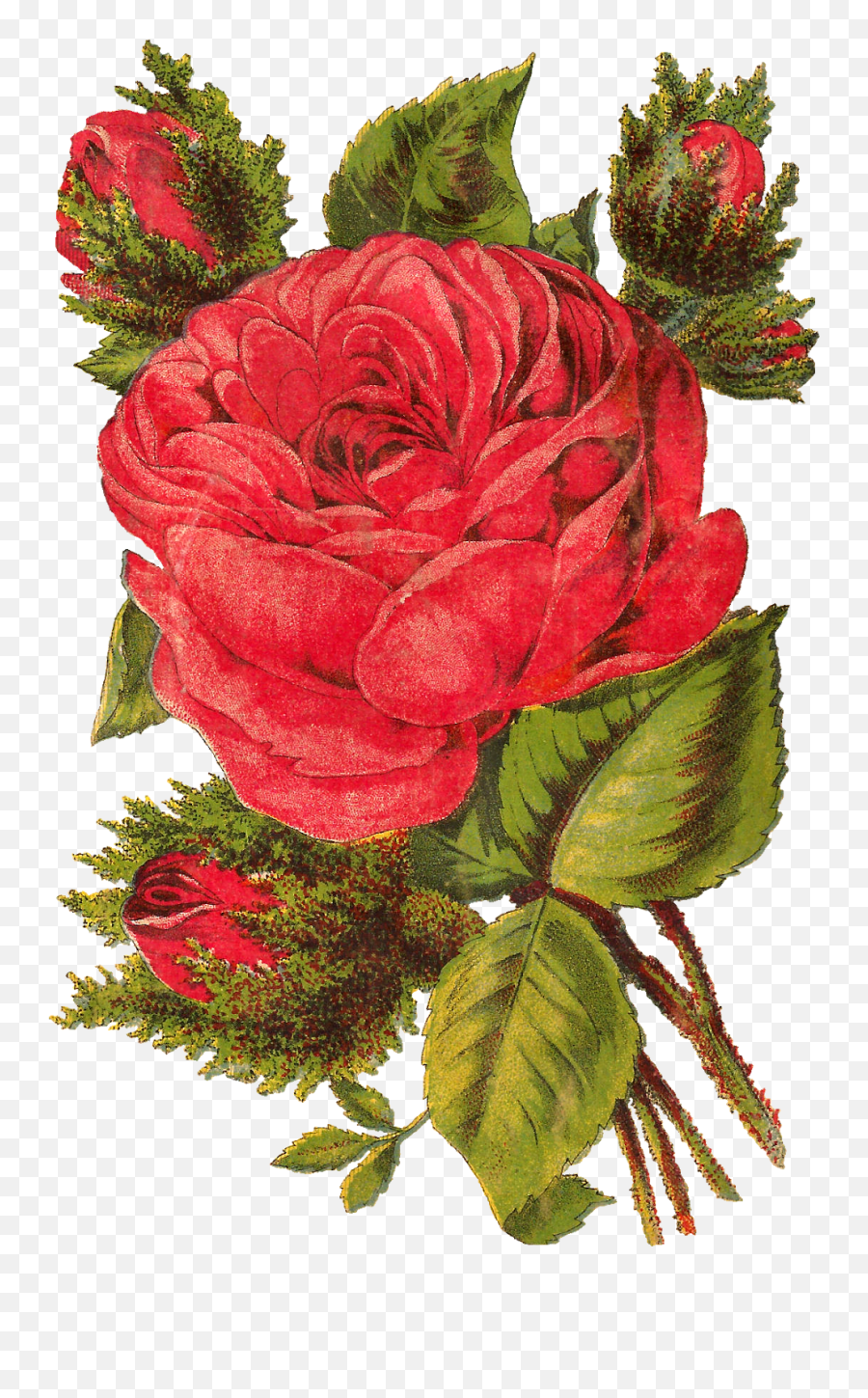 Library Of Flower Images Download Png Files Clipart - Flor Png Vintage Emoji,Red Flower Emoji