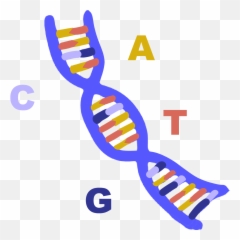 Transparent Dna Twisted Ladder Transparent Png Clipart - Dna Ladder Clipart Emoji,Dna Emoji