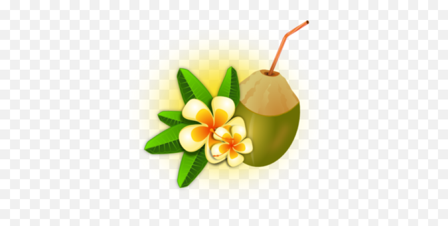 Tropical Png And Vectors For Free - Palm Flower Coconut Clipart Emoji,Palm Tree Drink Emoji