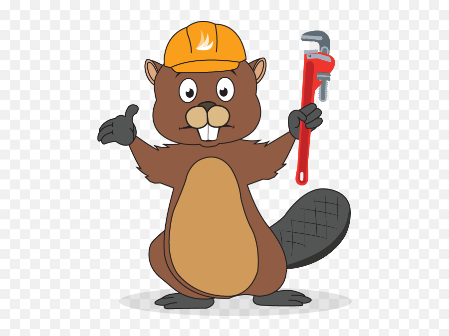 This Is Barry Tailwinds Official Data Beaver - Cartoon Emoji,Beaver Emoji