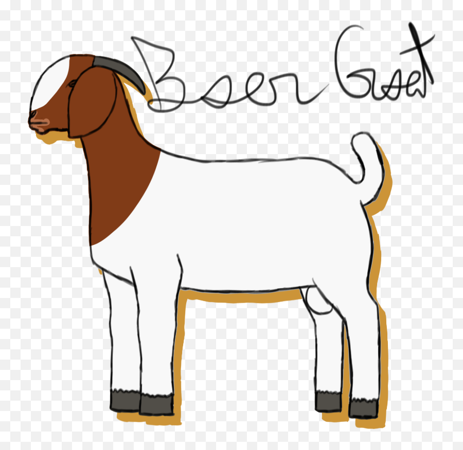 Boer Goat - Show Goat Clipart Emoji,Goat Emoji Facebook