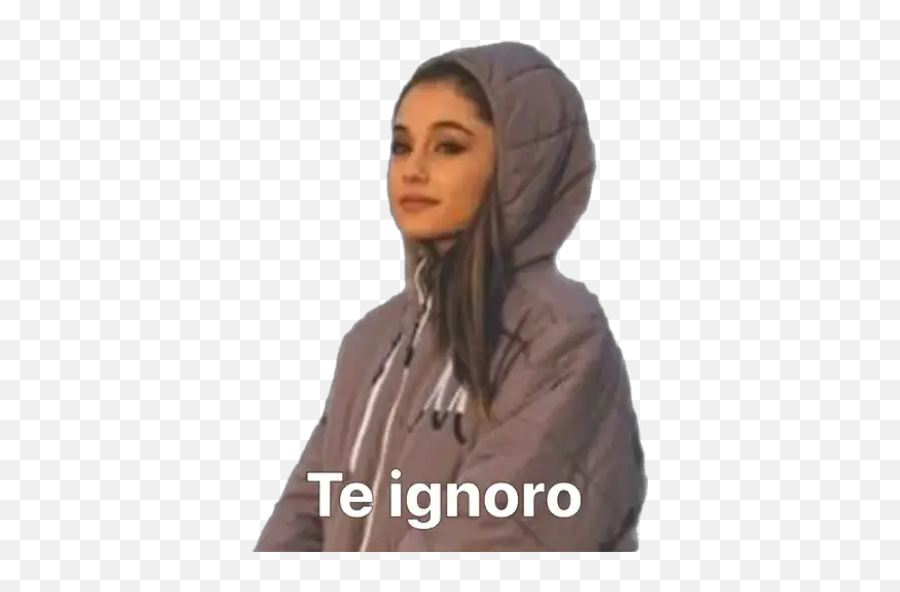 Ariana Grande Stickers For Whatsapp - Ariana Grande Ovanliga Bilder Emoji,Ariana Grande Emoji
