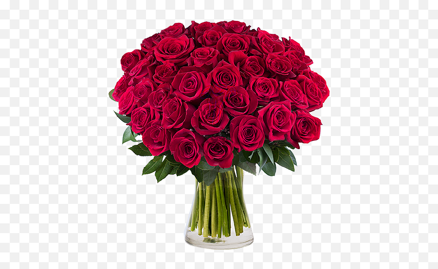 Red Rose Bouquet With Feathers - Ramo De 40 Rosas Emoji,Black Rose Emoji Copy And Paste