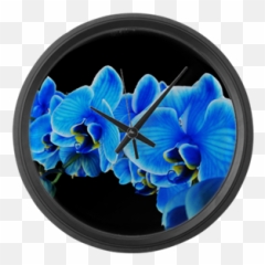 Blue Orchid Photo On Black Large Wall Clock Large Wall - Moth Orchid Emoji,Orchid Emoji