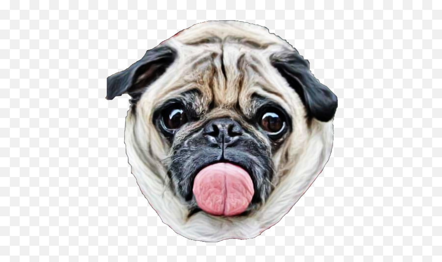 Popular And Trending Dogemoji Stickers On Picsart - Weird Dogs,Doge Emoticon