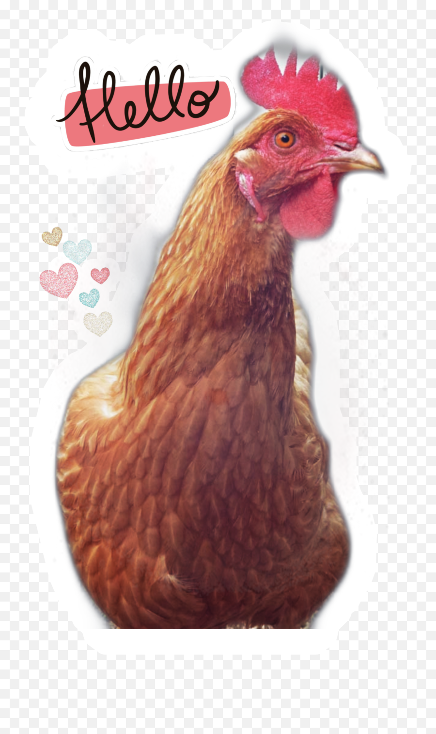 The Newest Poule Stickers On Picsart - Isa Brown Chicken Roosrer Emoji,Hand Rooster Emoji