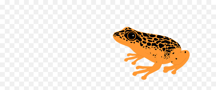 90 Free Toad U0026 Frog Illustrations - Pixabay True Frog Emoji,Frog Emoji Png