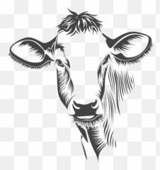 29 Cow Clipart transparent background Free Art stock - Cabeza De Vaca Dibujo Emoji