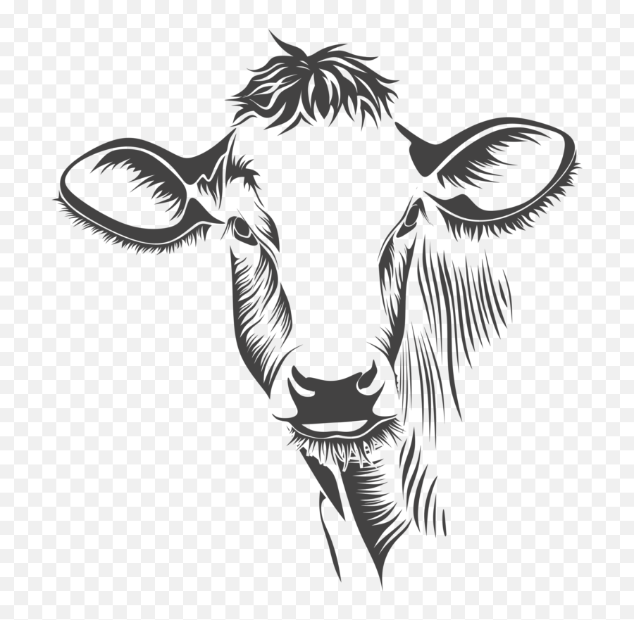 29 Cow Clipart Transparent Background Free Clip Art Stock - Cabeza De Vaca Dibujo Emoji,Money And Cow Emoji