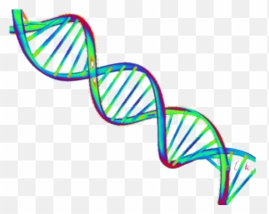 Transparent Dna Line Transparent Png Clipart Free Download - Transparent Animated Dna Gif Emoji,Dna Emoji