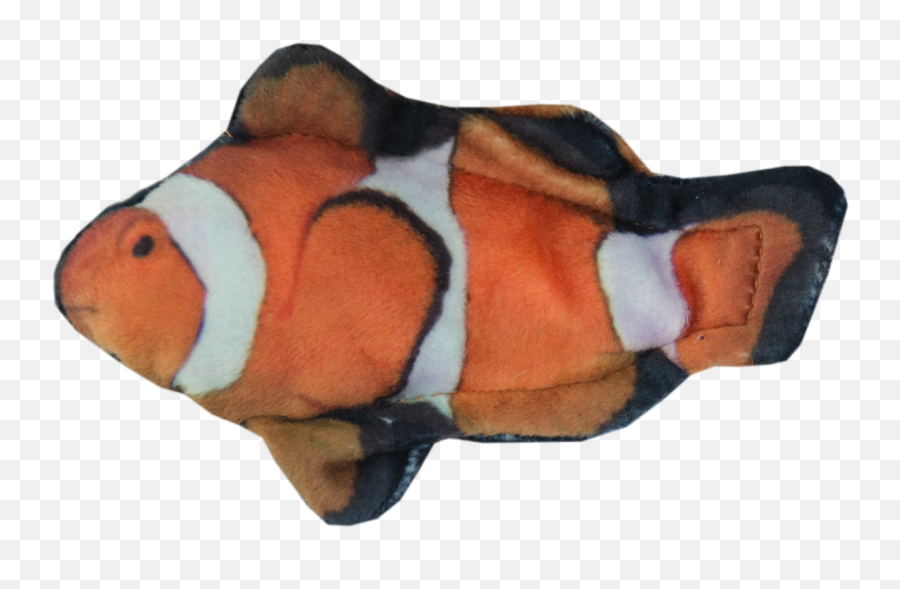 Wild Life Cat Clownfish Clownvis Emoji,Clown Fish Emoji