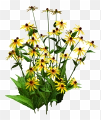 Eyed Png And Vectors For Free Download - Entourage Garden Plants Emoji,Starry Eyed Emoji