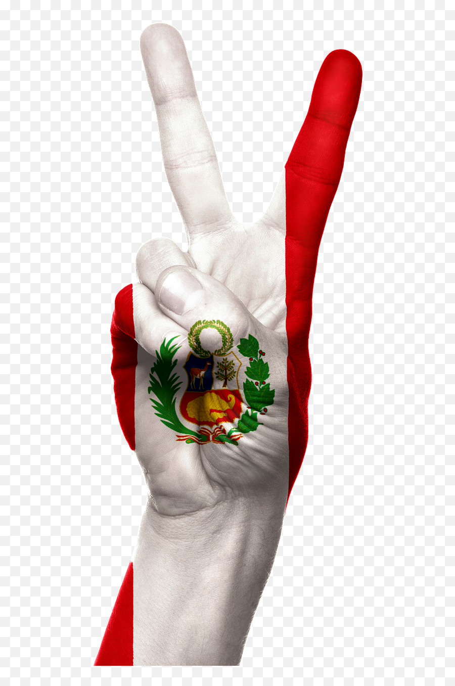 Peru Flag Hand Patriotic Patriotism - Flag Of Peru Emoji,Peru Flag Emoji