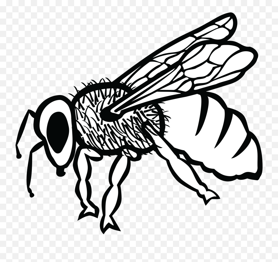 Free Clipart Of A Bee - Ar Karakalem Png Download Full Ar Çizimleri Emoji,Honeybee Emoji