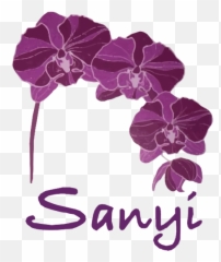 The Best Free Malaysia Icon Images Download From 84 Free - Phalaenopsis Sanderiana Emoji,Orchid Emoji
