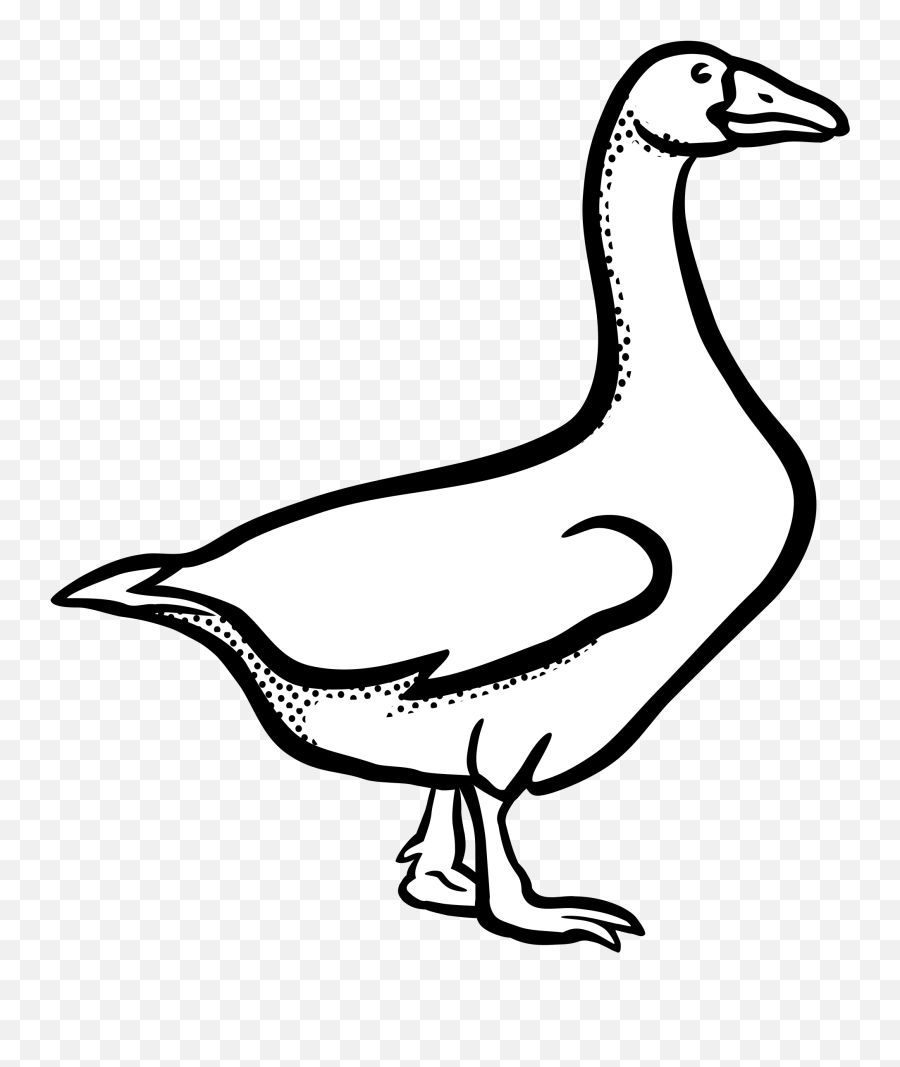 White Iv - Unit 3 Vocabulary Review Baamboozle Duck Black And White Png Emoji,Goose Emoji