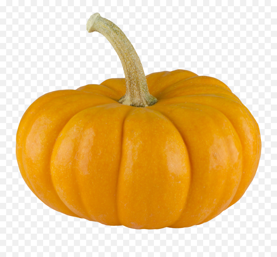 Download Pumpkin Png Transparent Pumpkin - Pumpkin Emoji,Pumkin Emoji