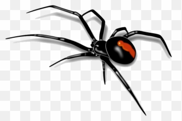 Bugs Bug Insect Cute Creepy Gross - Spider Png Emoji,Black Widow Emoji