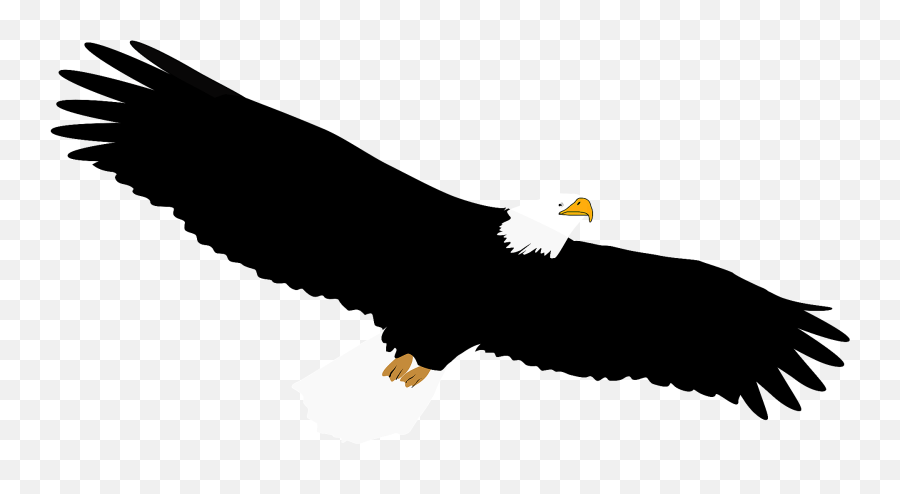 Bald Eagle In Flight Clipart - Kartal Png Çizim Emoji,Eagle Emoji