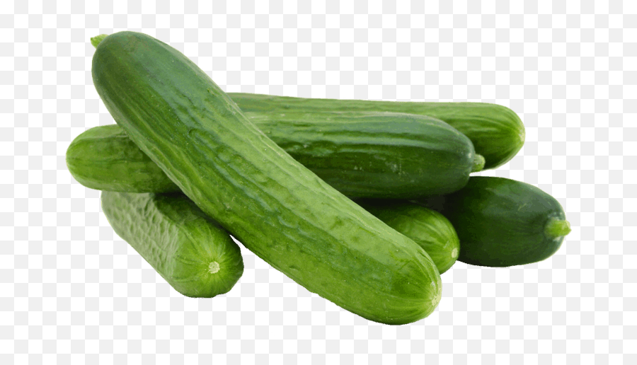 Pepino Png - High Quality Cucumber 4662757 Vippng Cucumber Per Kg Emoji,Cucumber Emoji