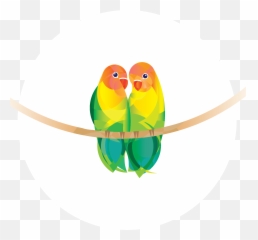Leadership - Budgie Clipart Full Size Clipart 3178773 Parrots Emoji,Birb Emoji