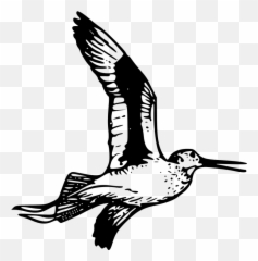 Free Float Balloon Vectors - Willet Bird Silhouette Emoji,Jellyfish Emoticon