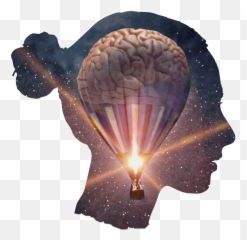 Brain Sticker Challenge on PicsArt - Hot Air Balloon Emoji
