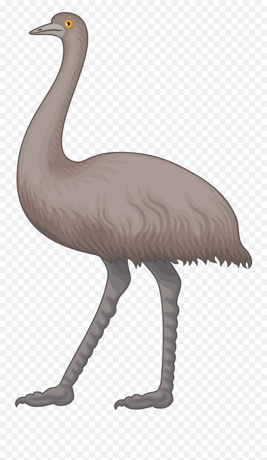 Emu Clipart Free Download Transparent Png Creazilla - Emu Australia Coat Of Arms Emoji,Ostrich Emoji